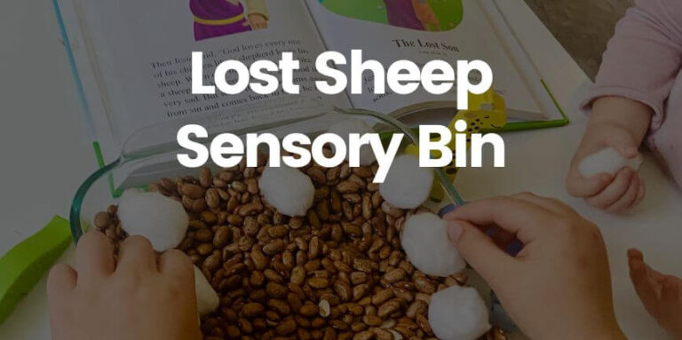 lost sheep sensory bin-cover