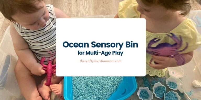 ocean sensory bin cover