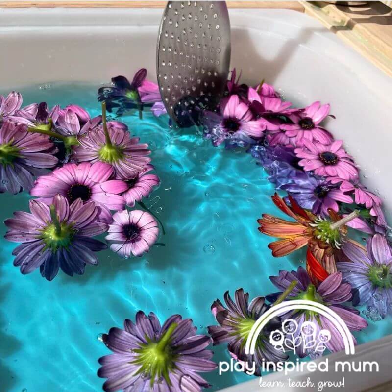 flower soup sensory bin