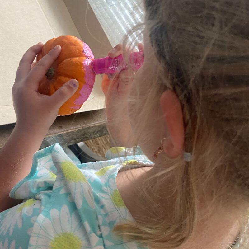 decoratin mini pumpkins with paint sticks